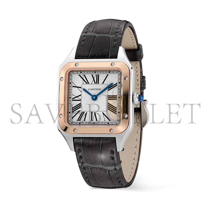 Ca*t1er santos-dumont watch 38mm w2sa0012
